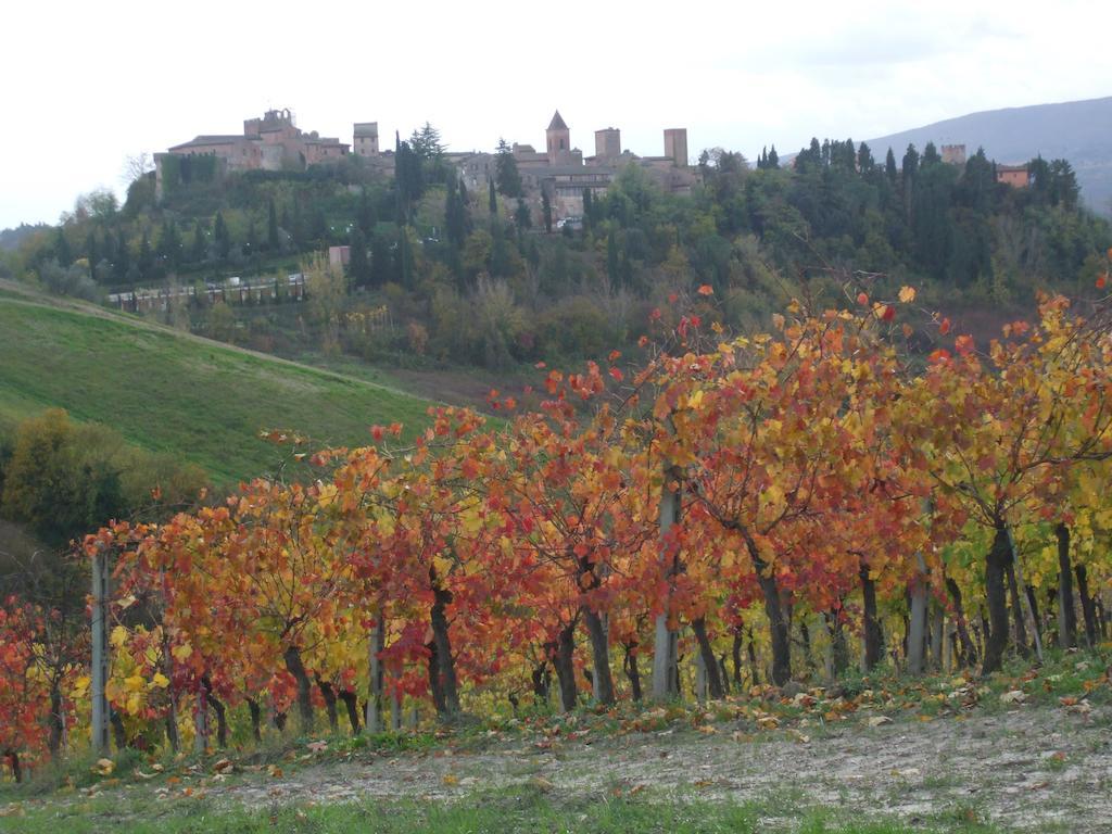 Agriturismo Il Torrione Villa Certaldo Dış mekan fotoğraf