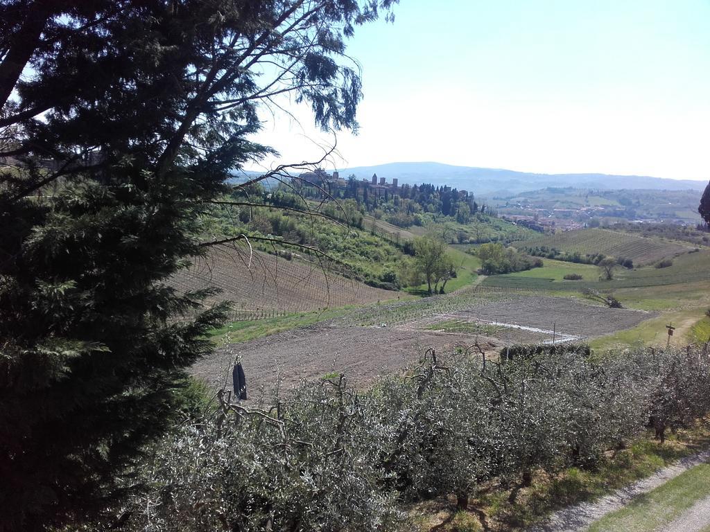 Agriturismo Il Torrione Certaldo Dış mekan fotoğraf