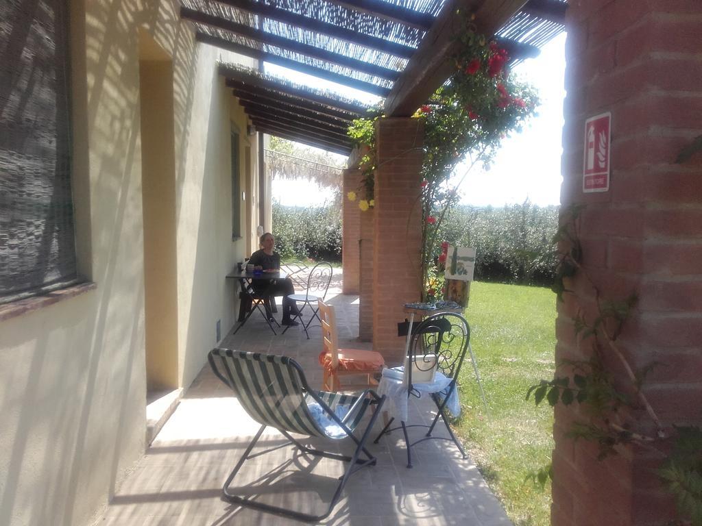 Agriturismo Il Torrione Certaldo Dış mekan fotoğraf