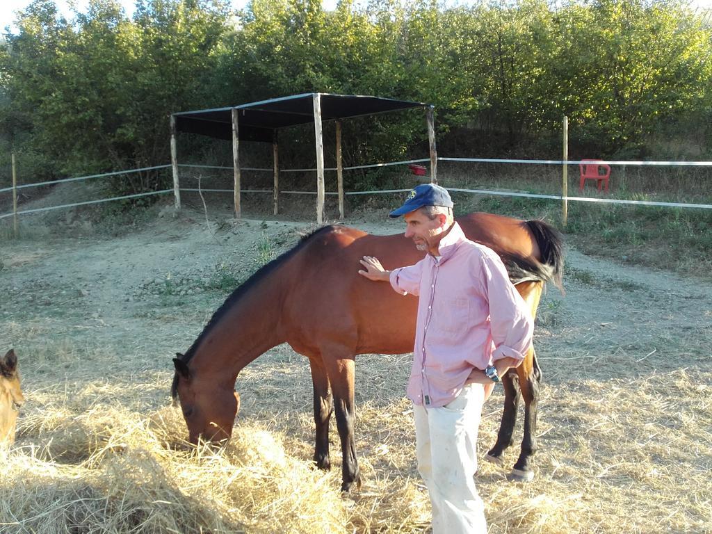 Agriturismo Il Torrione Certaldo Dış mekan fotoğraf