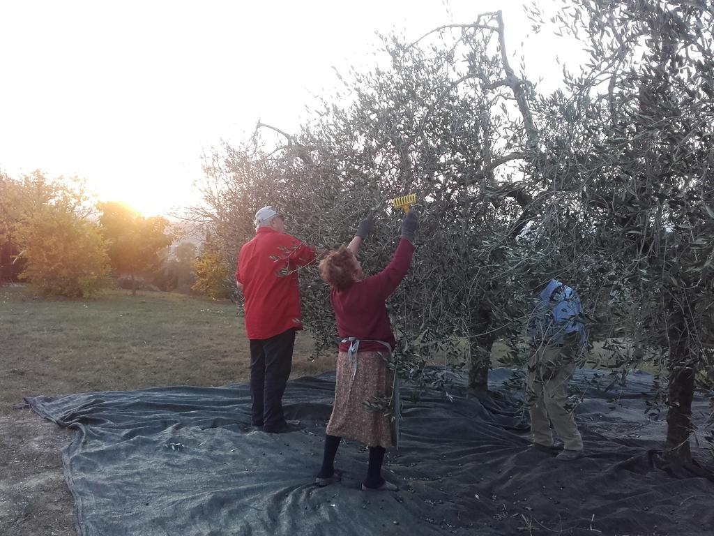 Agriturismo Il Torrione Villa Certaldo Dış mekan fotoğraf