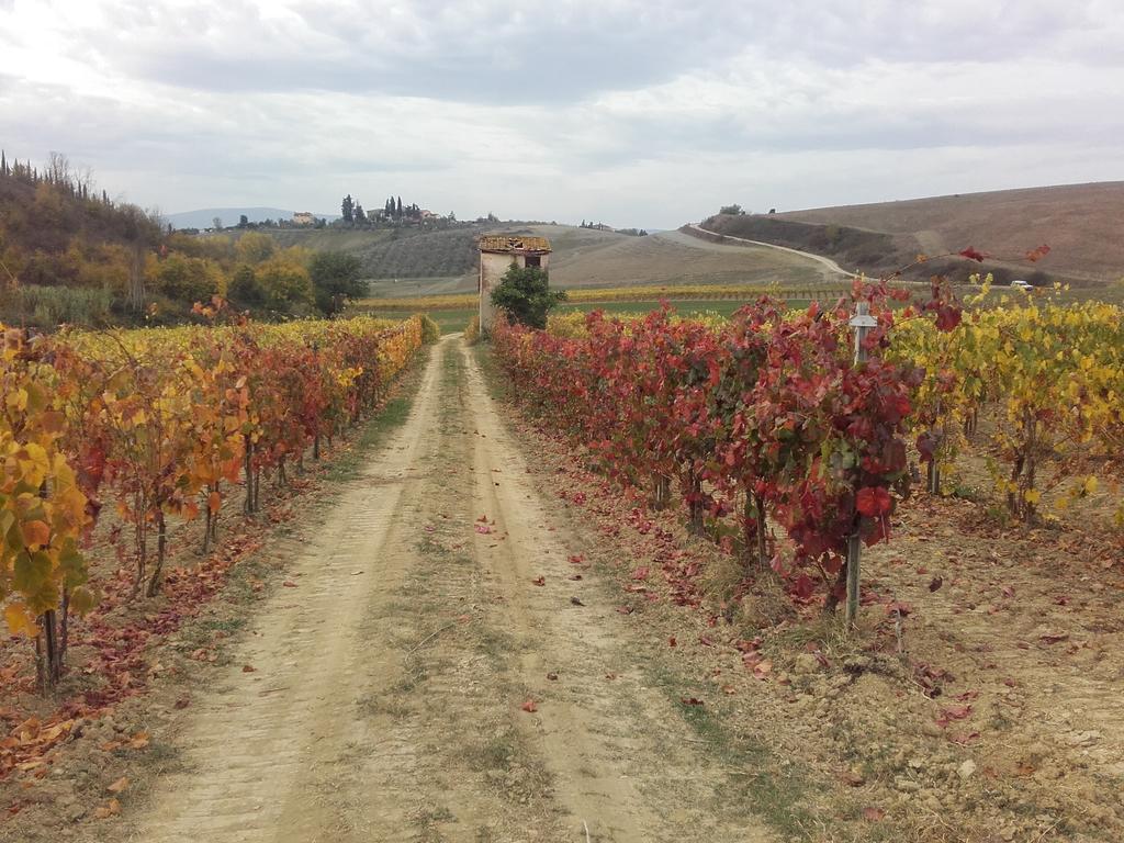 Agriturismo Il Torrione Certaldo Dış mekan fotoğraf