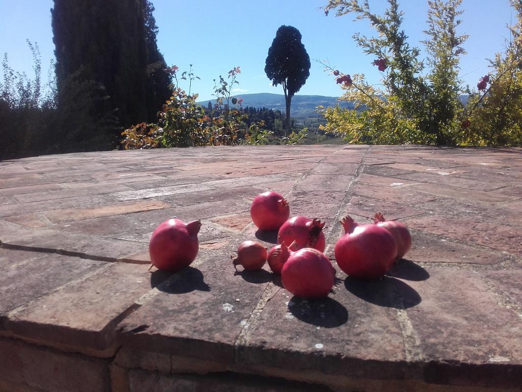 Agriturismo Il Torrione Certaldo Dış mekan fotoğraf