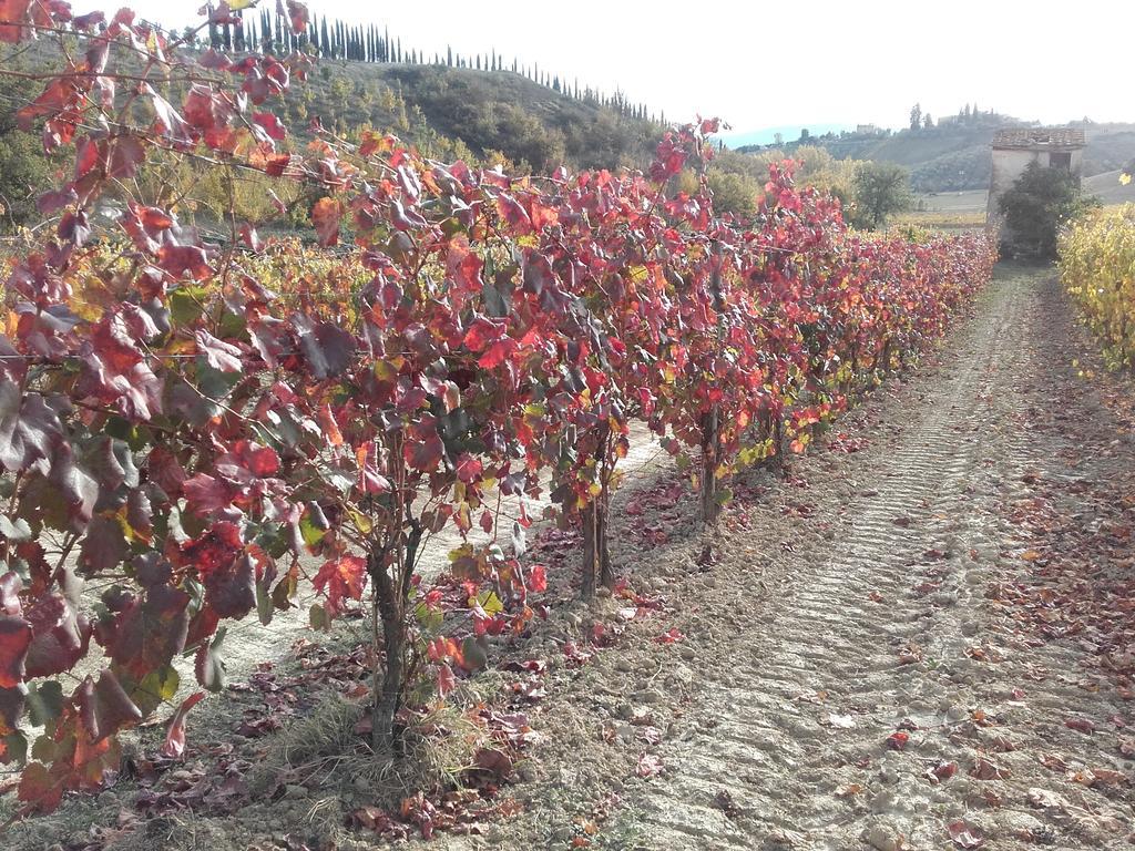 Agriturismo Il Torrione Certaldo Dış mekan fotoğraf