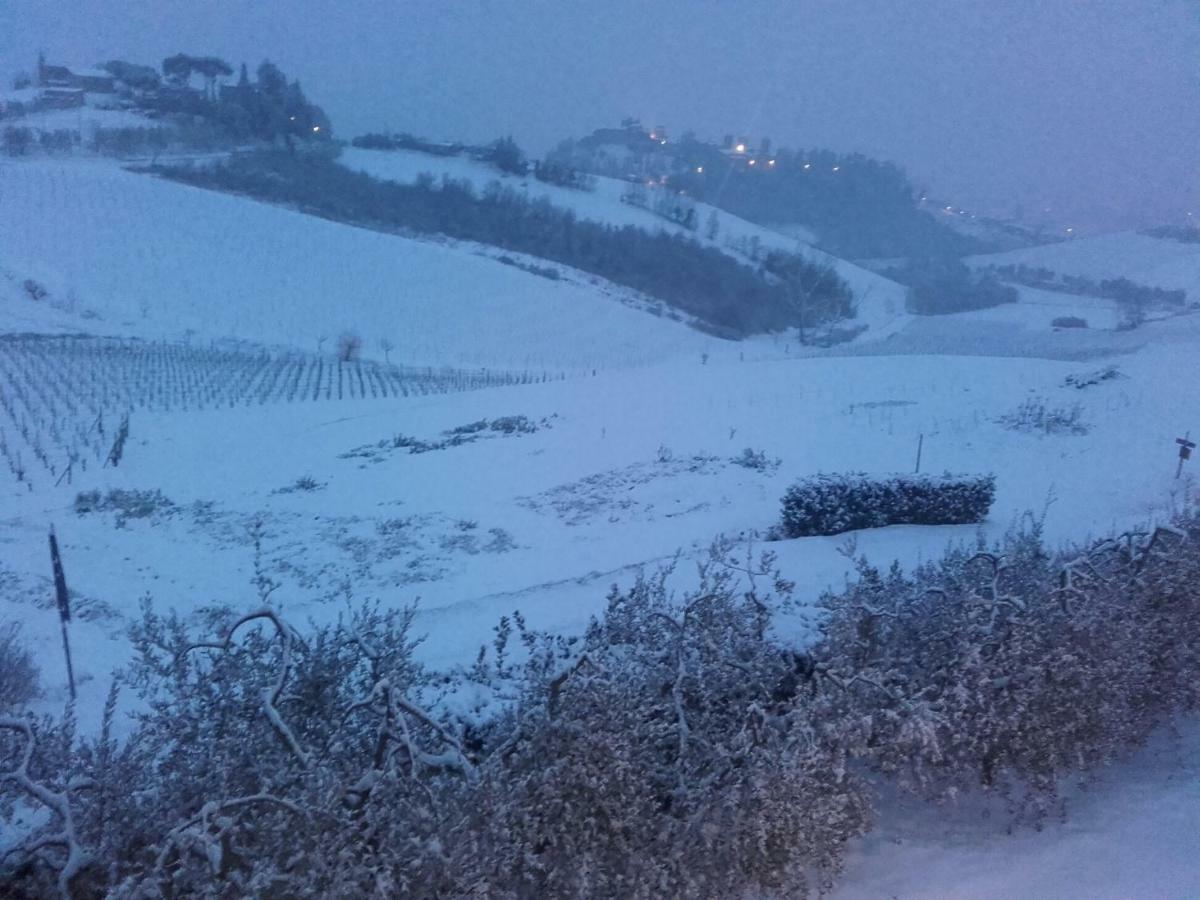 Agriturismo Il Torrione Certaldo Dış mekan fotoğraf
