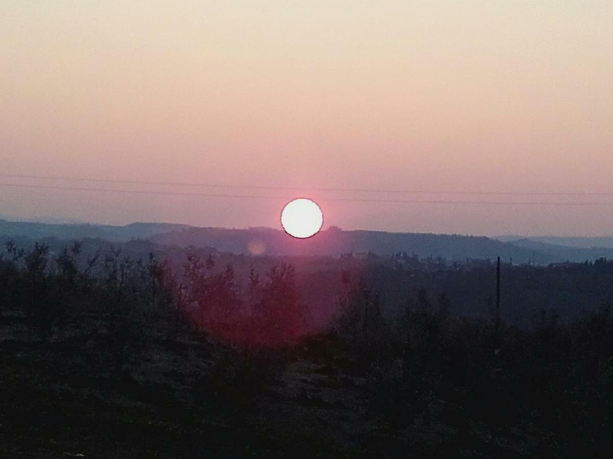 Agriturismo Il Torrione Villa Certaldo Dış mekan fotoğraf