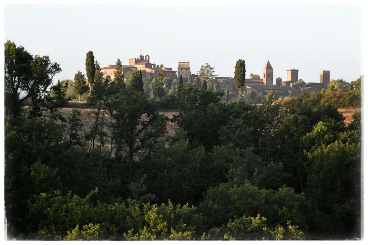 Agriturismo Il Torrione Villa Certaldo Dış mekan fotoğraf