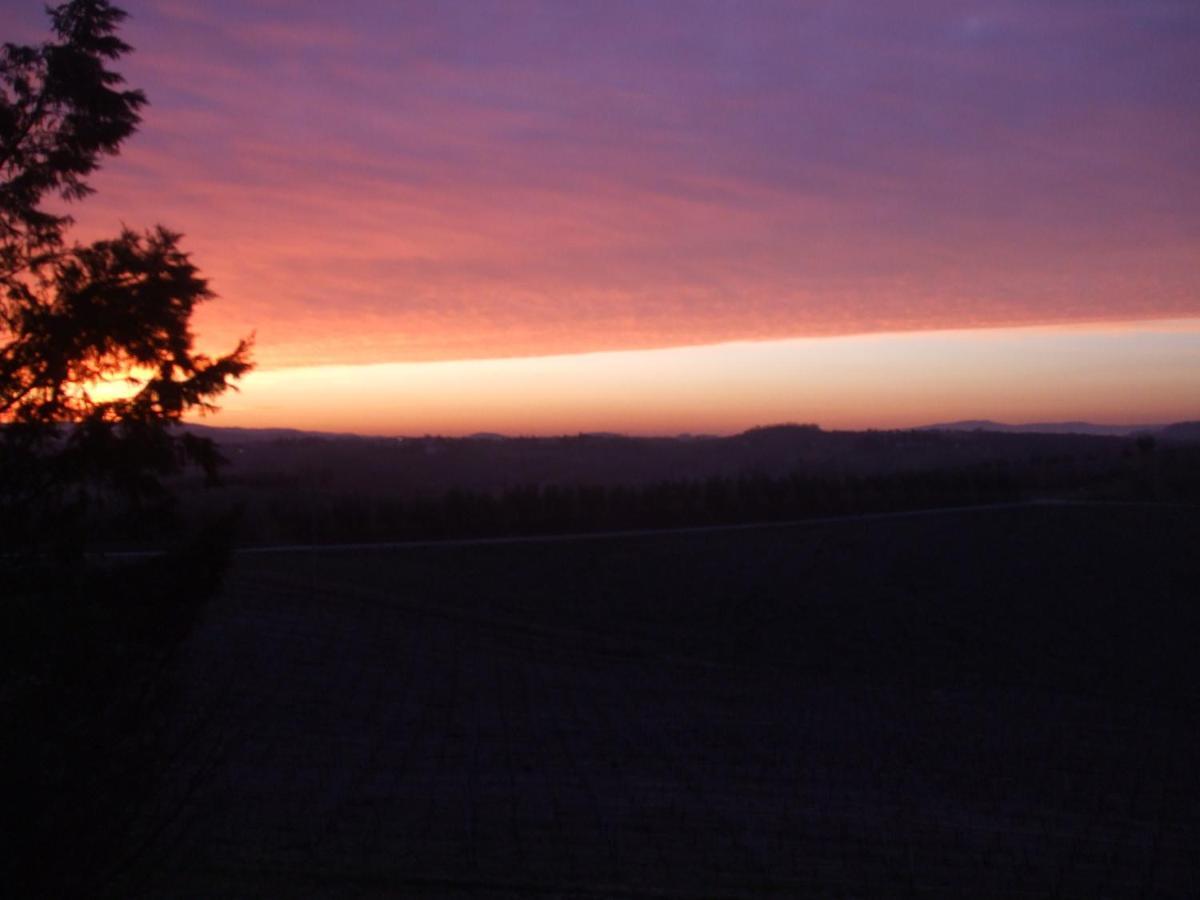 Agriturismo Il Torrione Certaldo Oda fotoğraf
